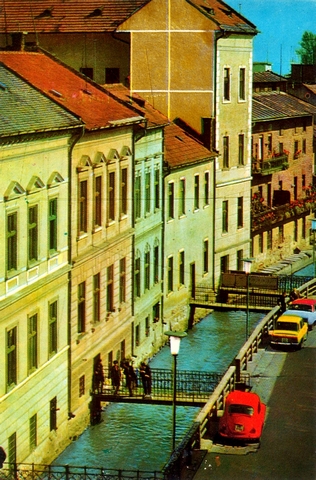 1319-1 - Cluj. Canalul Morii
